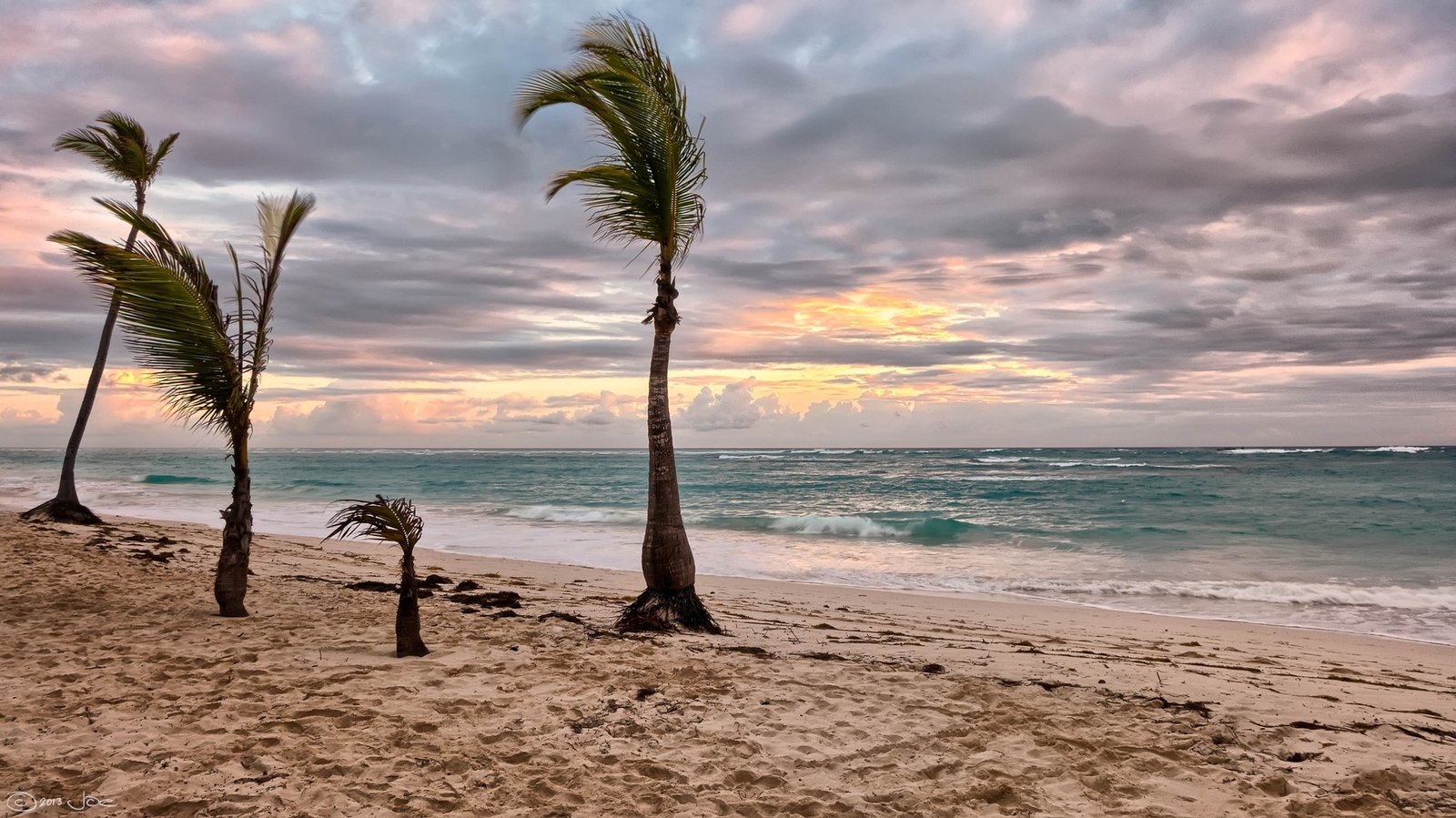 beach-sea-coast-tree-water-nature-1174620-pxhere.com_